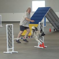 Advanced Agility - offered Spring and Fall