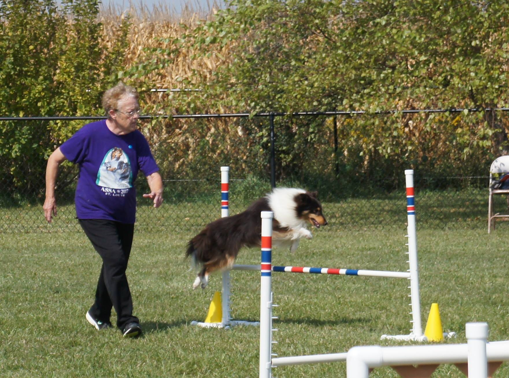 Competition Agility