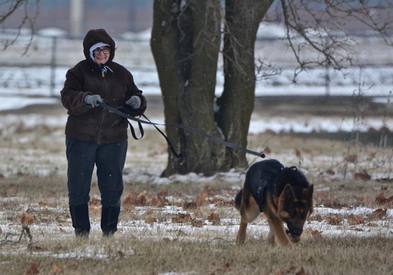 Intermediate Tracking