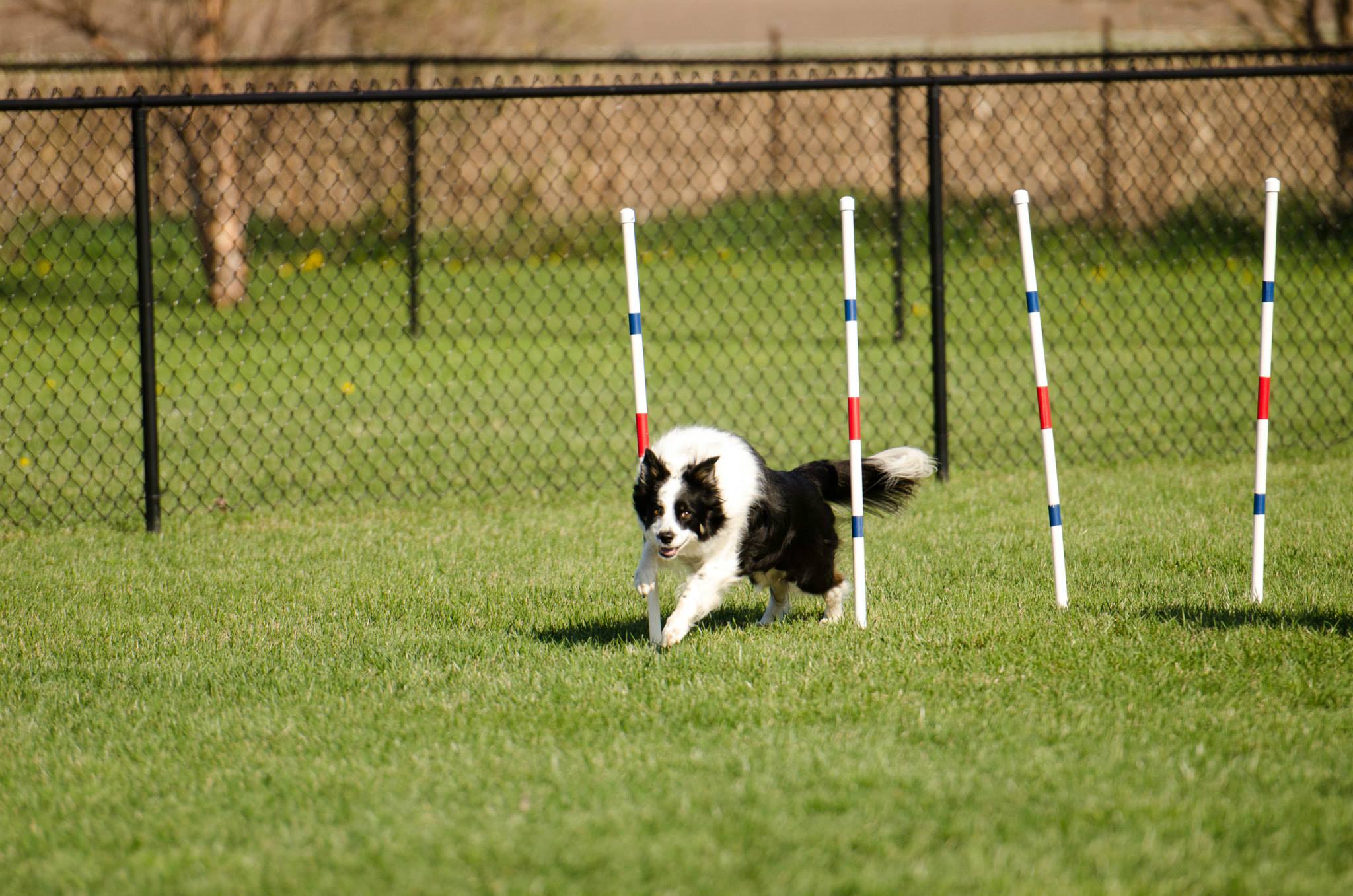 Introduction to Agility Weaves
