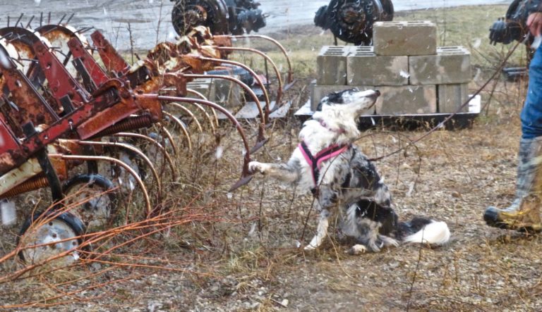 On the Road Again: Exteriors and Vehicles