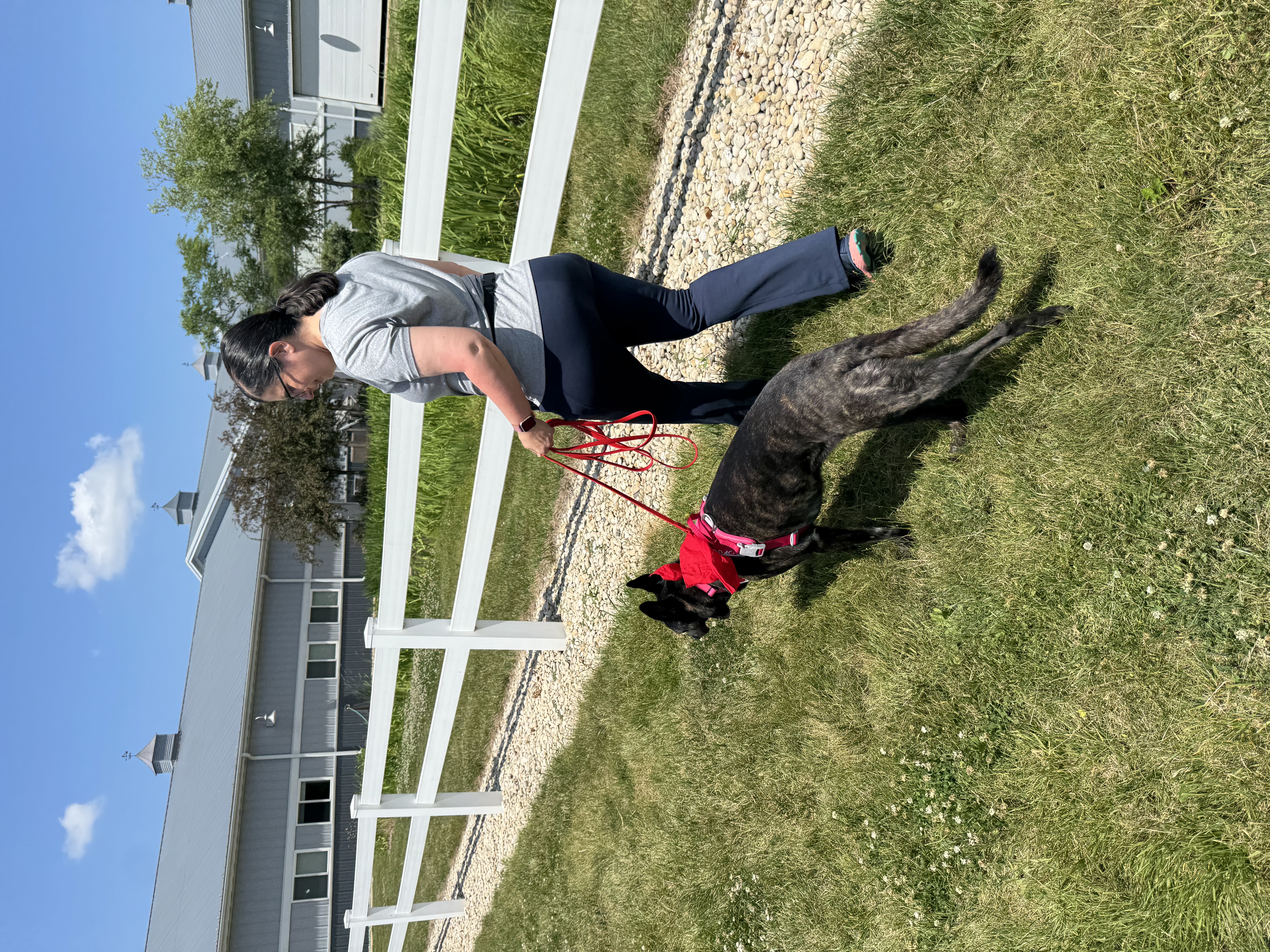 Nose Work Skills Challenge