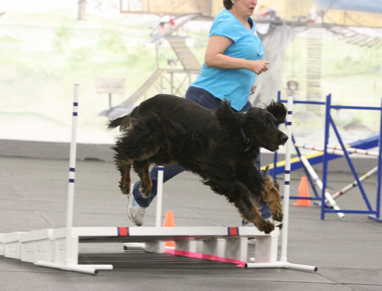 Competition Agility