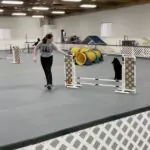 Beginner Agility 1