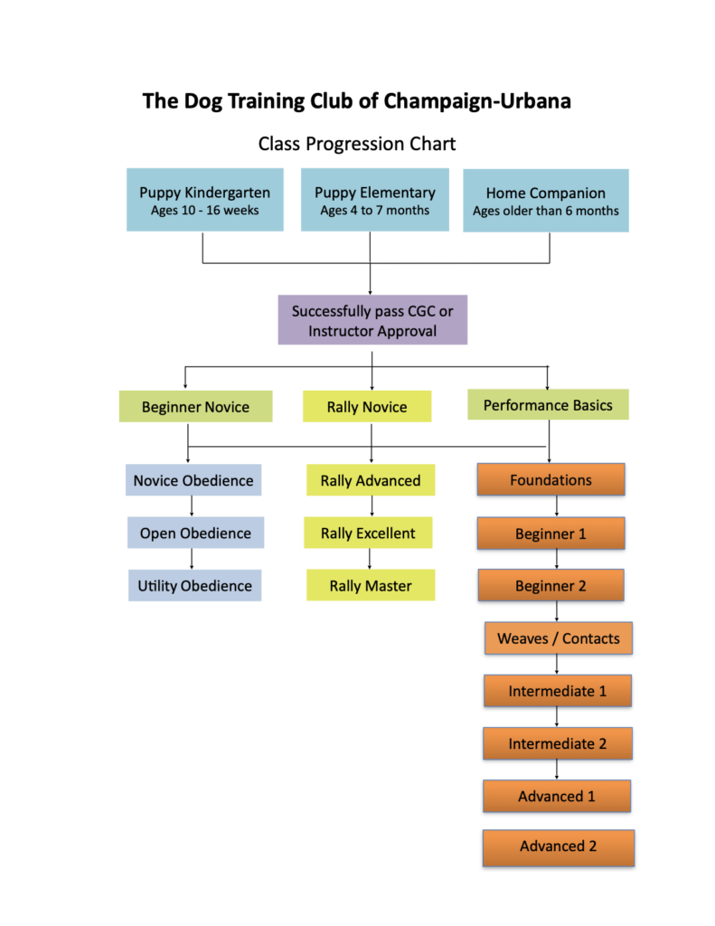 Class progression chart