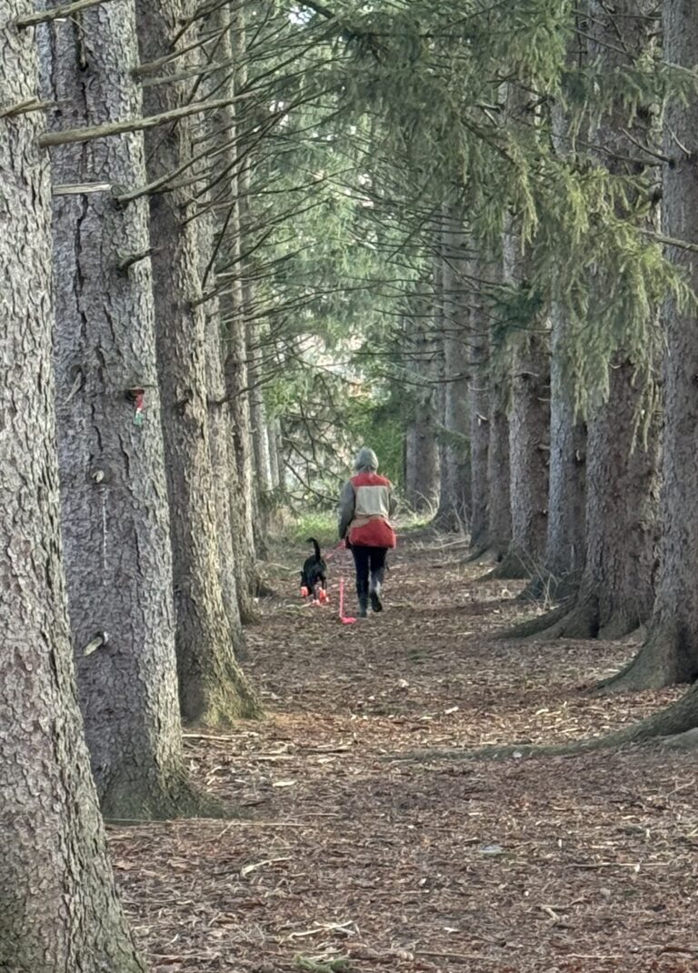 Tracking Games Around Town (Advanced Tracking)