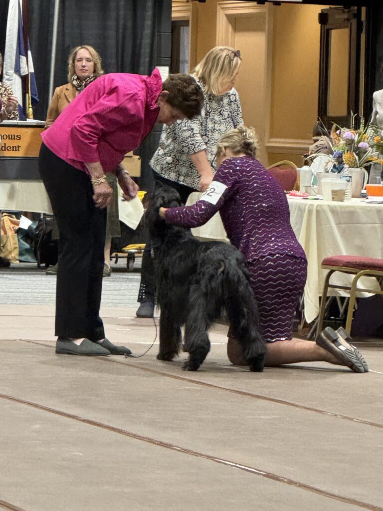 DTCCU Conformation Handling Class