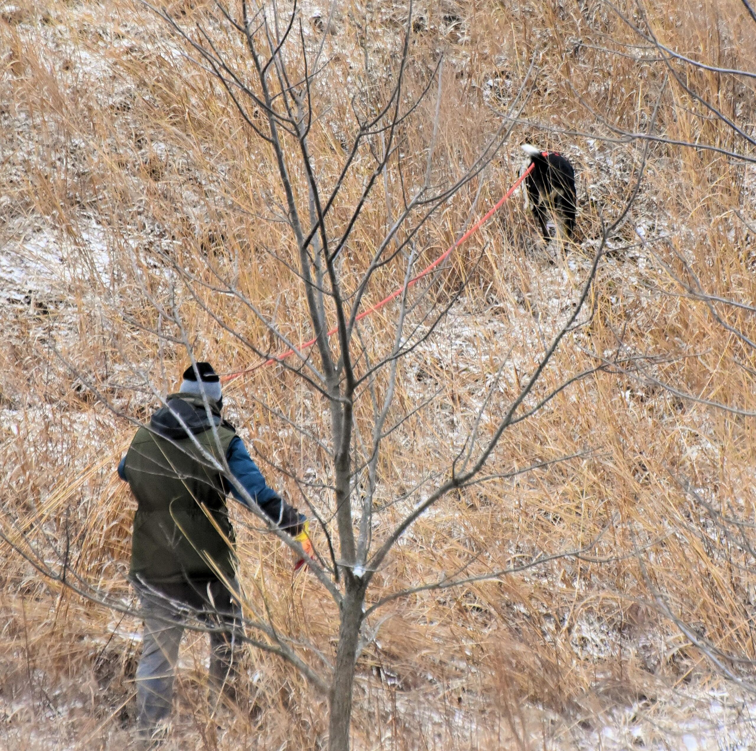 Intermediate Tracking B